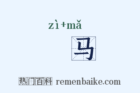 牸马是什么意思的图片